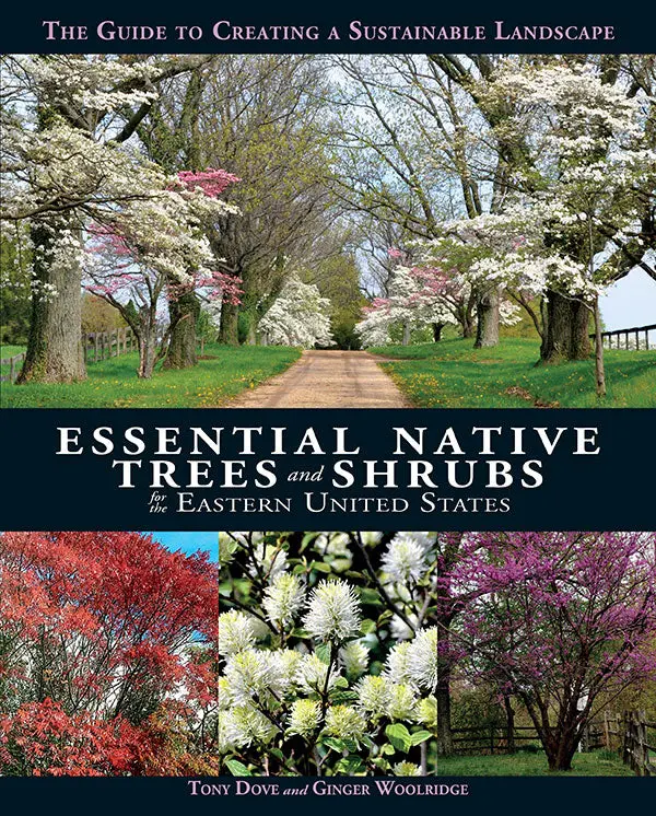 Essential Native Trees And Shrubs For The Eastern United States 1
