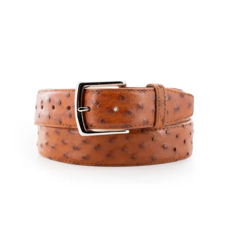 Ostrich Belt - Cognac 1