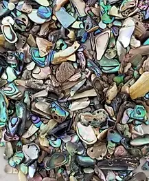 Paua Abalone Inlay -Inlay Material For Bowls, Rings, Etc 1
